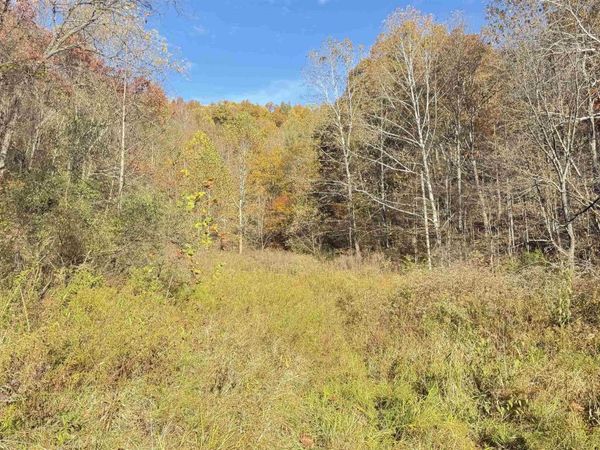 TBD Tenmile Road, Wallace, WV 26448