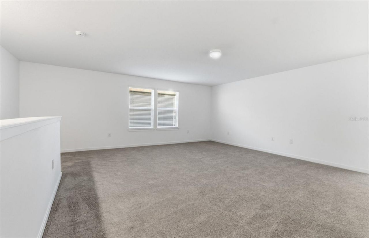 9934 Trellis Vine Way, Parrish, FL 34219 Photo