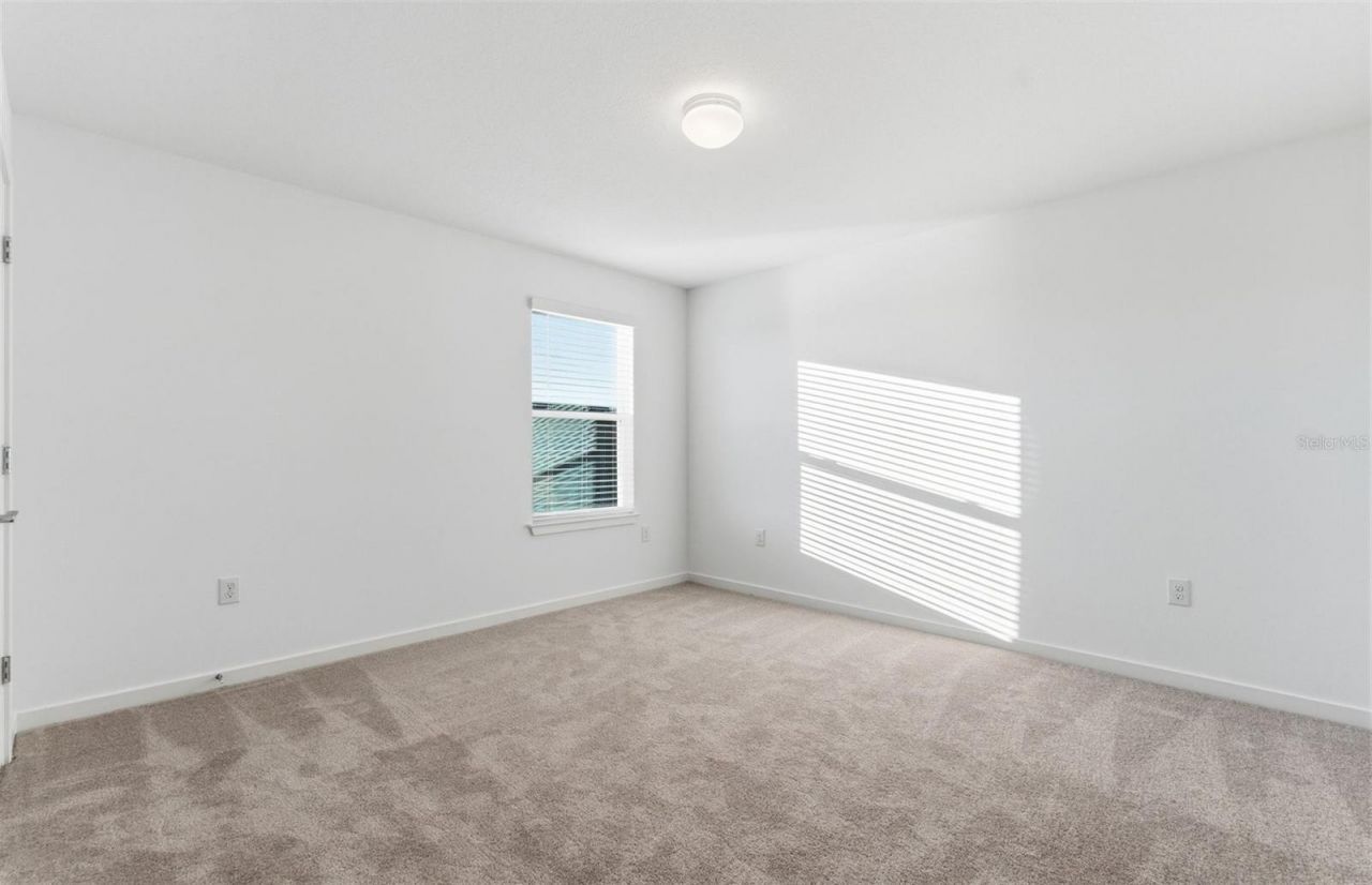 9934 Trellis Vine Way, Parrish, FL 34219 Photo