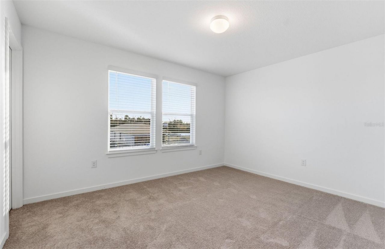 9934 Trellis Vine Way, Parrish, FL 34219 Photo