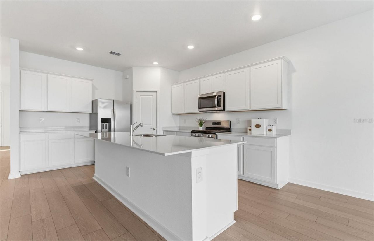 9934 Trellis Vine Way, Parrish, FL 34219 Photo