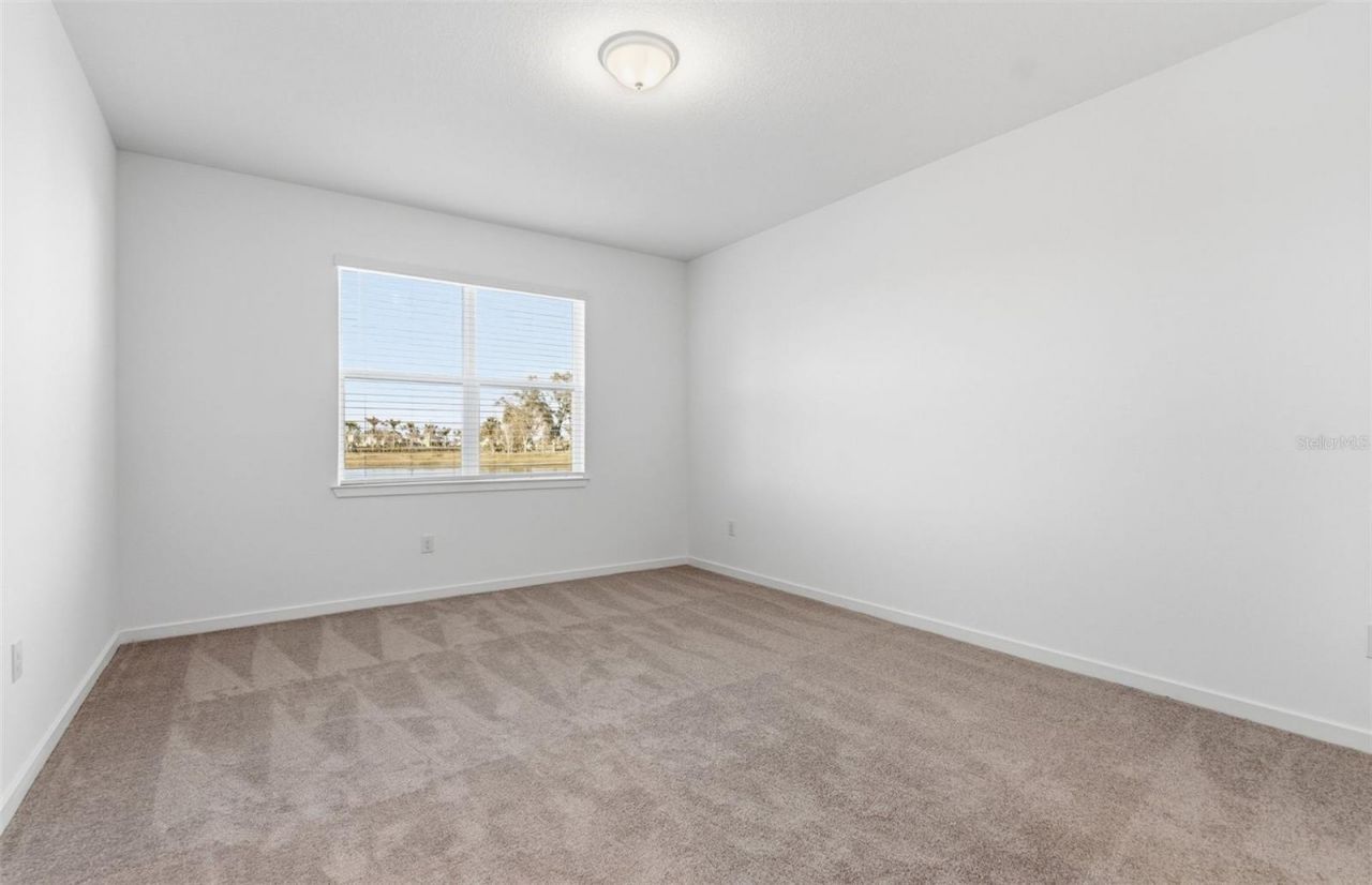 9934 Trellis Vine Way, Parrish, FL 34219 Photo