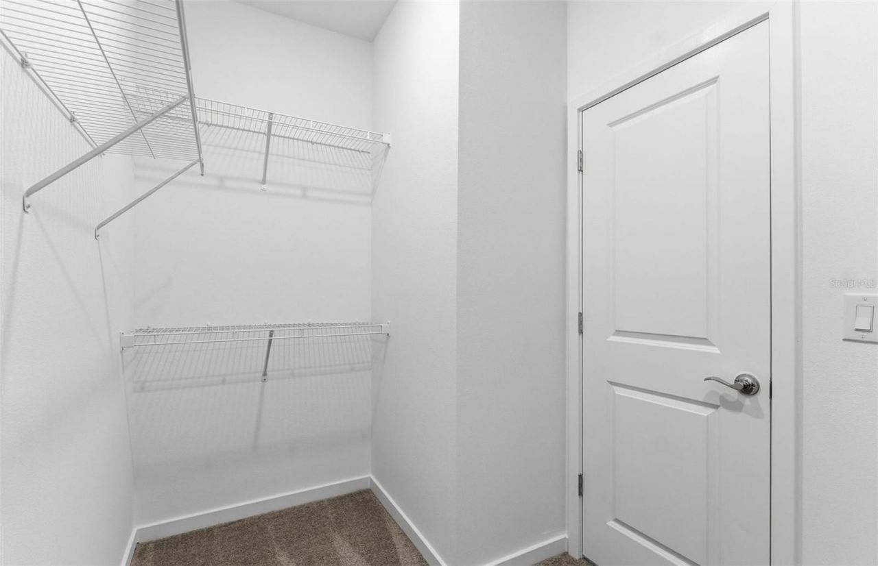 9934 Trellis Vine Way, Parrish, FL 34219 Photo