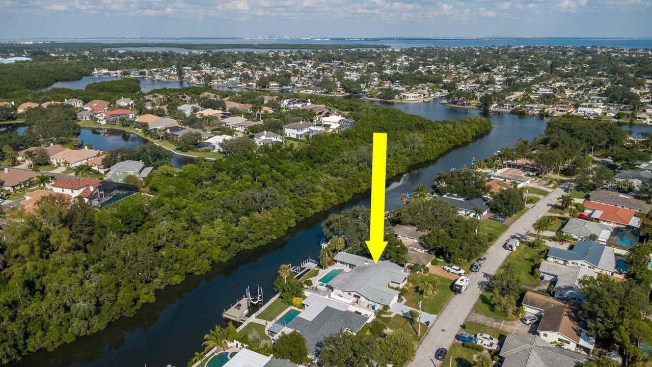 1113 45th Avenue Ne, Saint Petersburg, FL 33703 Photo