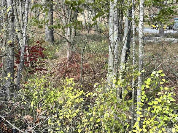 75 Upper Isner Creek Road, Elkins, WV 26241