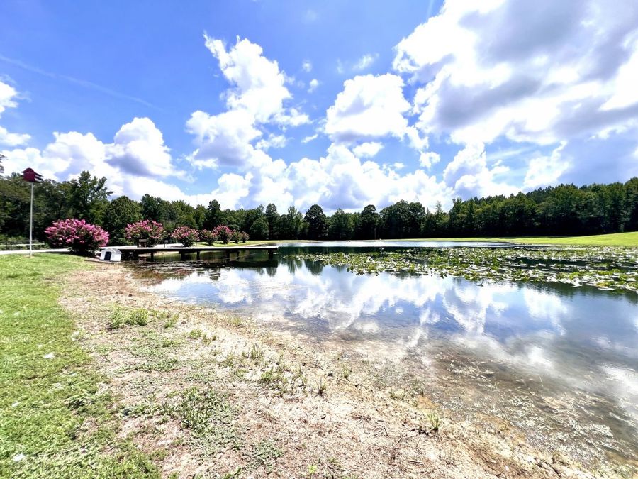 Property Image 69