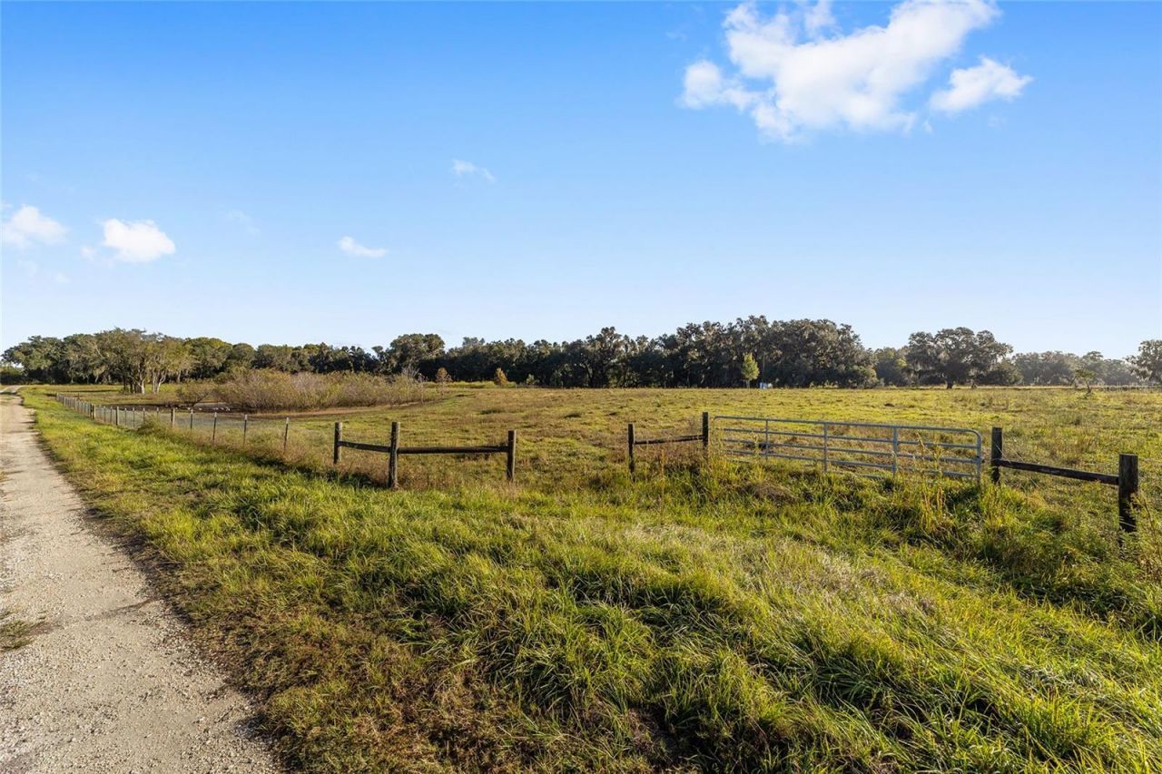 3623 Cr 526, Sumterville, FL 33585 Photo