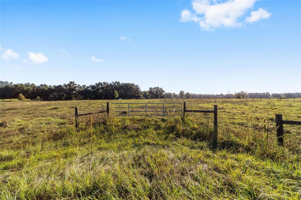 3623 Cr 526, Sumterville, FL 33585 Photo