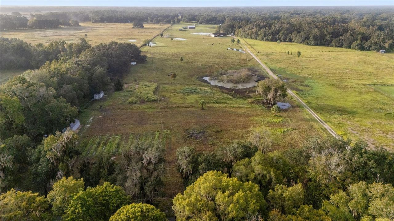 3623 Cr 526, Sumterville, FL 33585 Photo