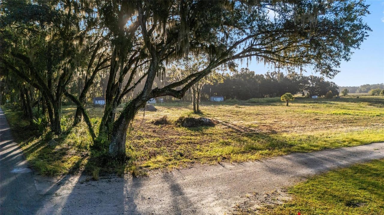 3623 Cr 526, Sumterville, FL 33585 Photo