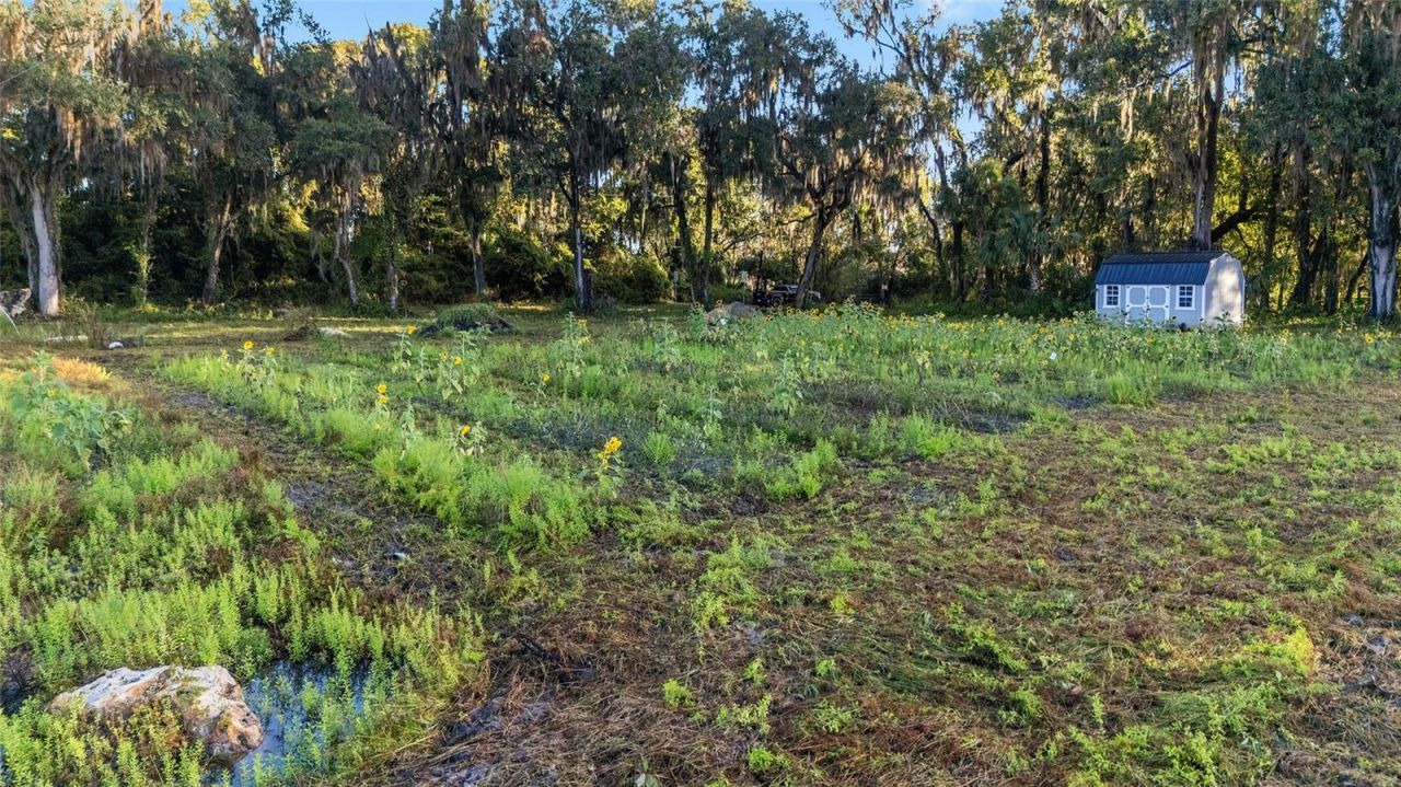 3623 Cr 526, Sumterville, FL 33585 Photo