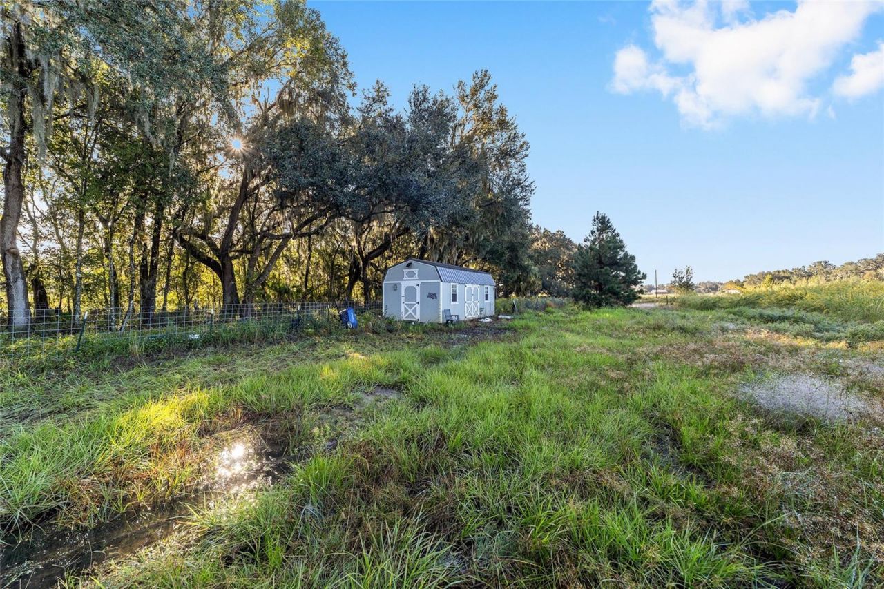 3623 Cr 526, Sumterville, FL 33585 Photo