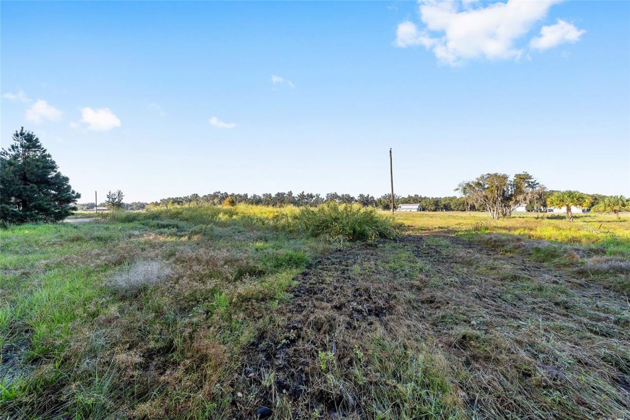 3623 Cr 526, Sumterville, FL 33585 Photo