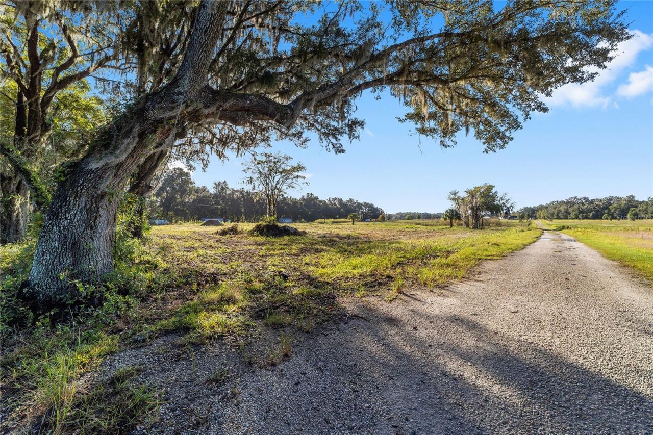 3623 Cr 526, Sumterville, FL 33585 Photo