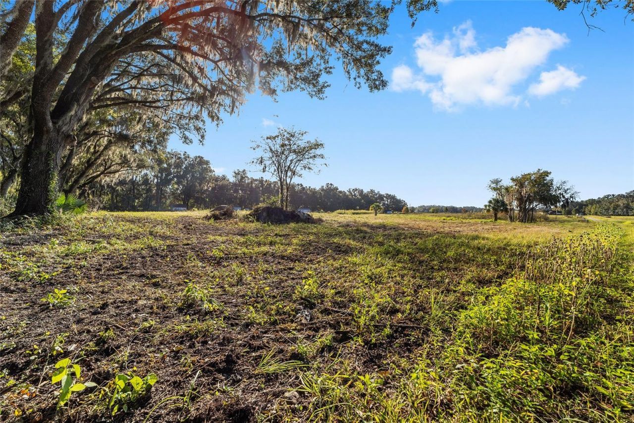 3623 Cr 526, Sumterville, FL 33585 Photo