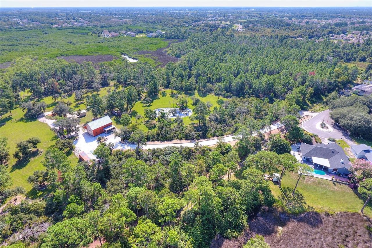 3130 Shipwatch Drive, Holiday, FL 34691 Photo