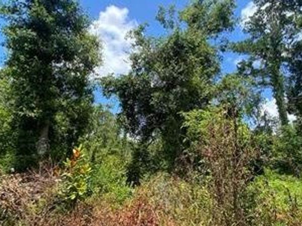 SW MAIN STREET, Other, FL 32331