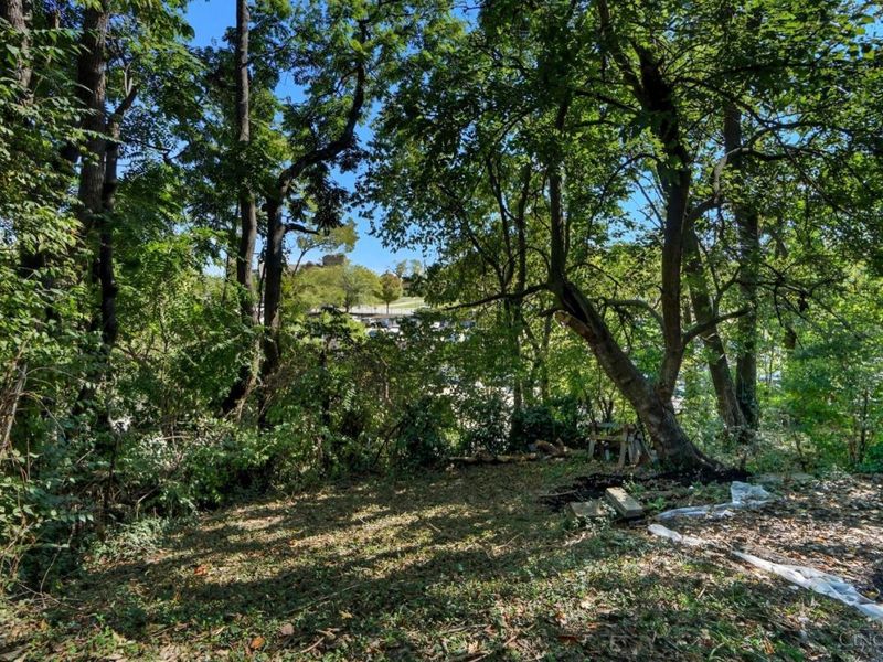 2226 Kenton Street, Cincinnati, OH 45206 Photo 21