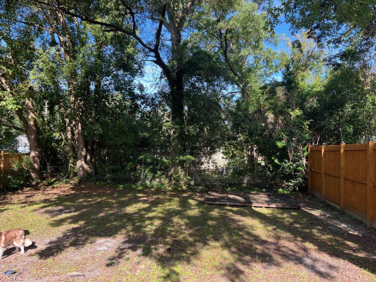 2959 Alabama Drive Photo 8