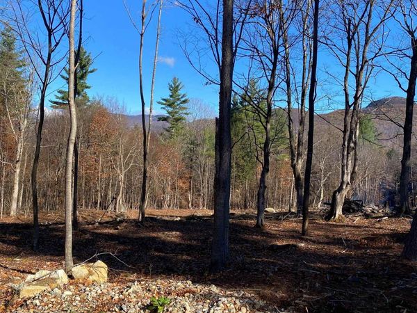 lot A Frost Pond Road, Dorset, VT 05251