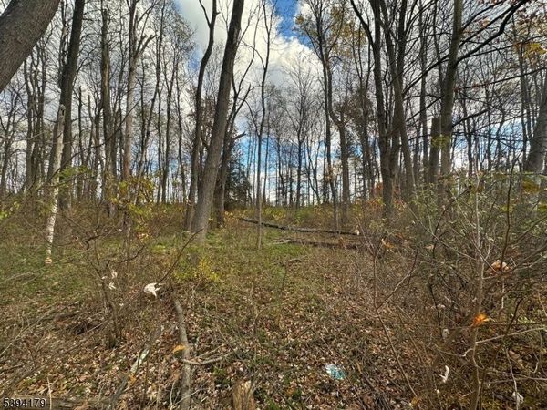 143 Vail Rd, Knowlton, NJ 07832