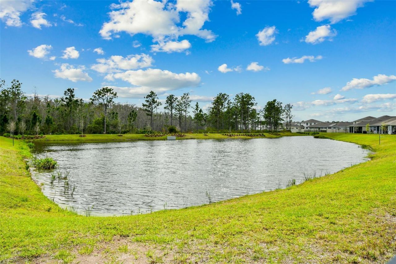 10050 Brown Burrow Street, Orlando, FL 32829 Photo