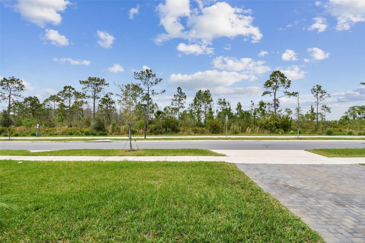 10050 Brown Burrow Street, Orlando, FL 32829 Photo