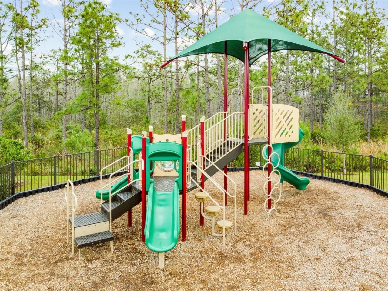 10050 Brown Burrow Street, Orlando, FL 32829 Photo