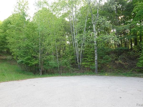 000 Buckridge Court, Milton Twp, MI 49676