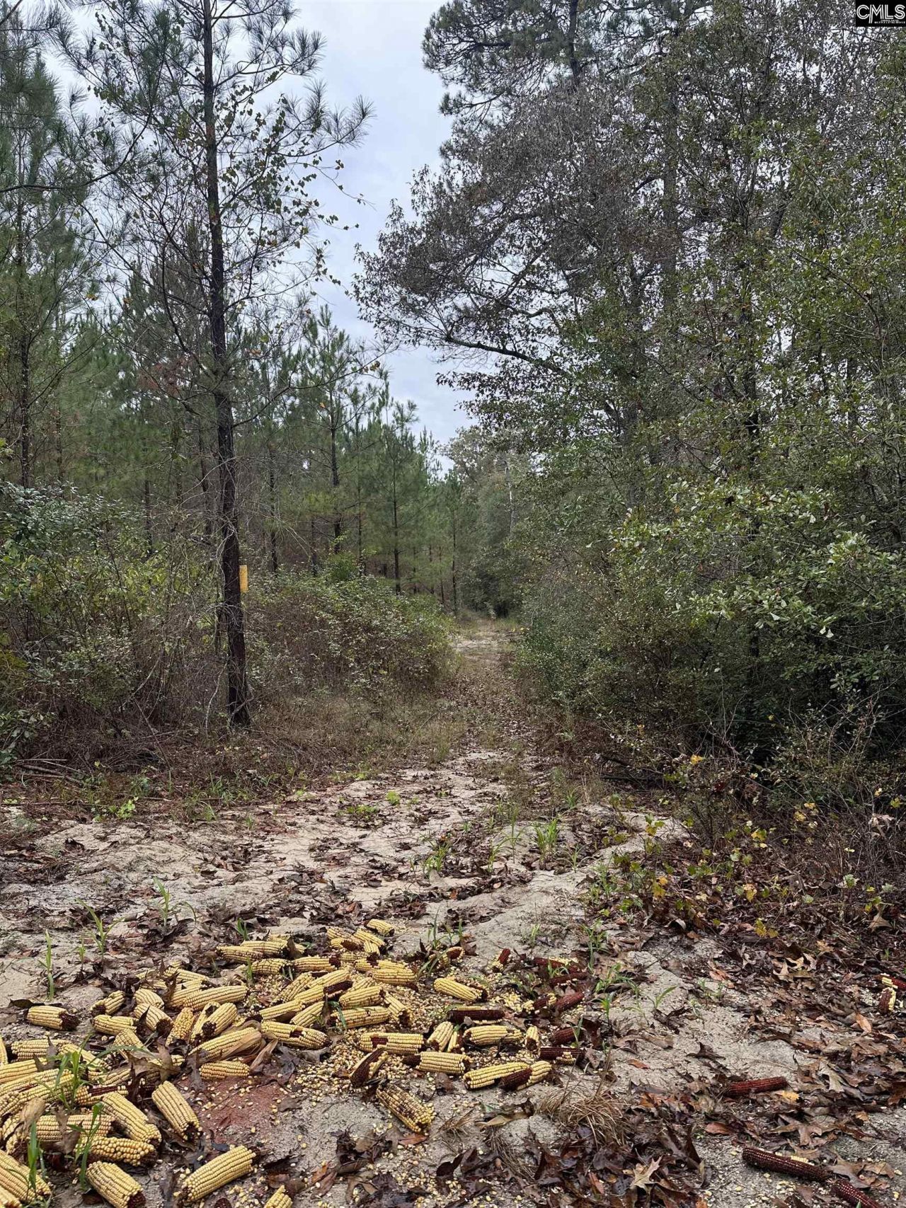 0 Kelly Day Road Photo 10