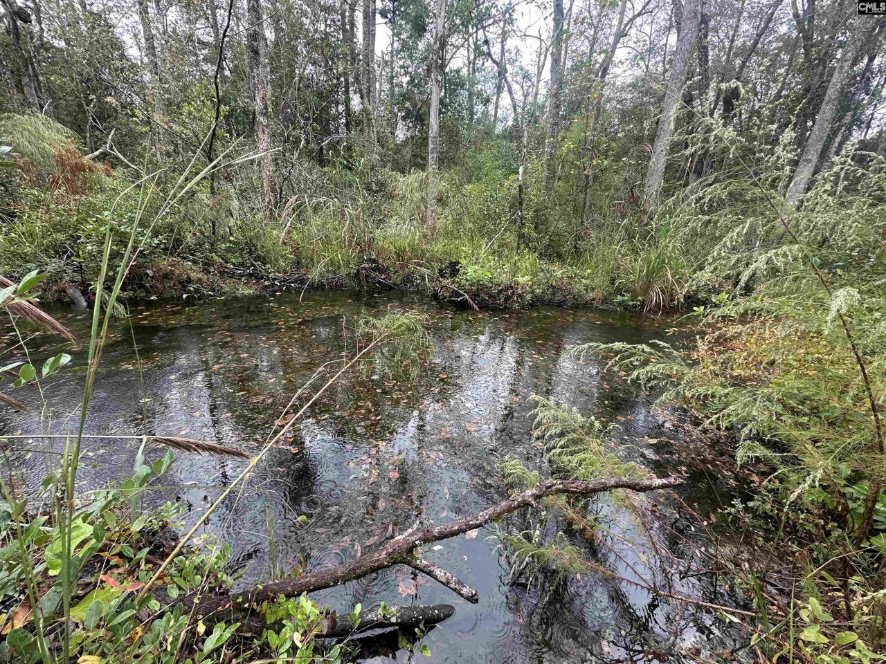 0 Kelly Day Road Photo 11