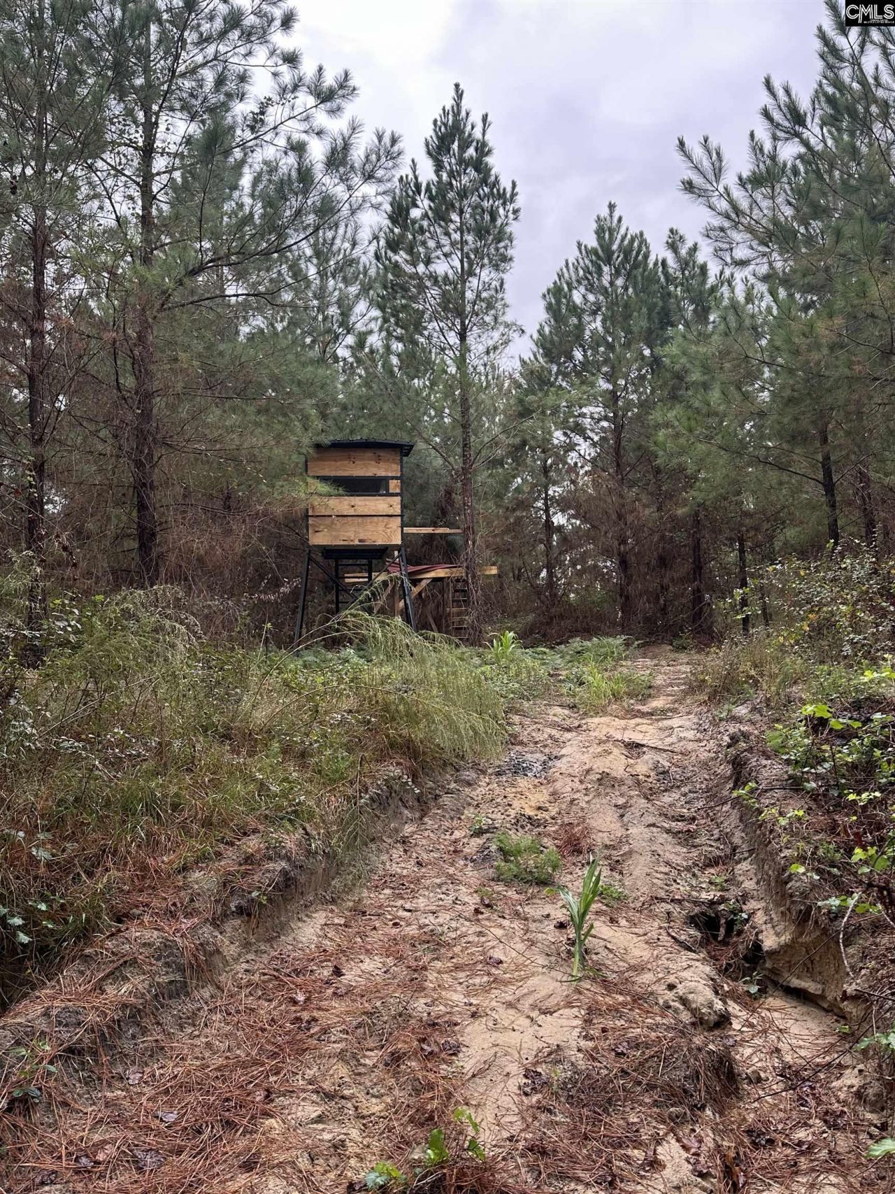 0 Kelly Day Road Photo 13