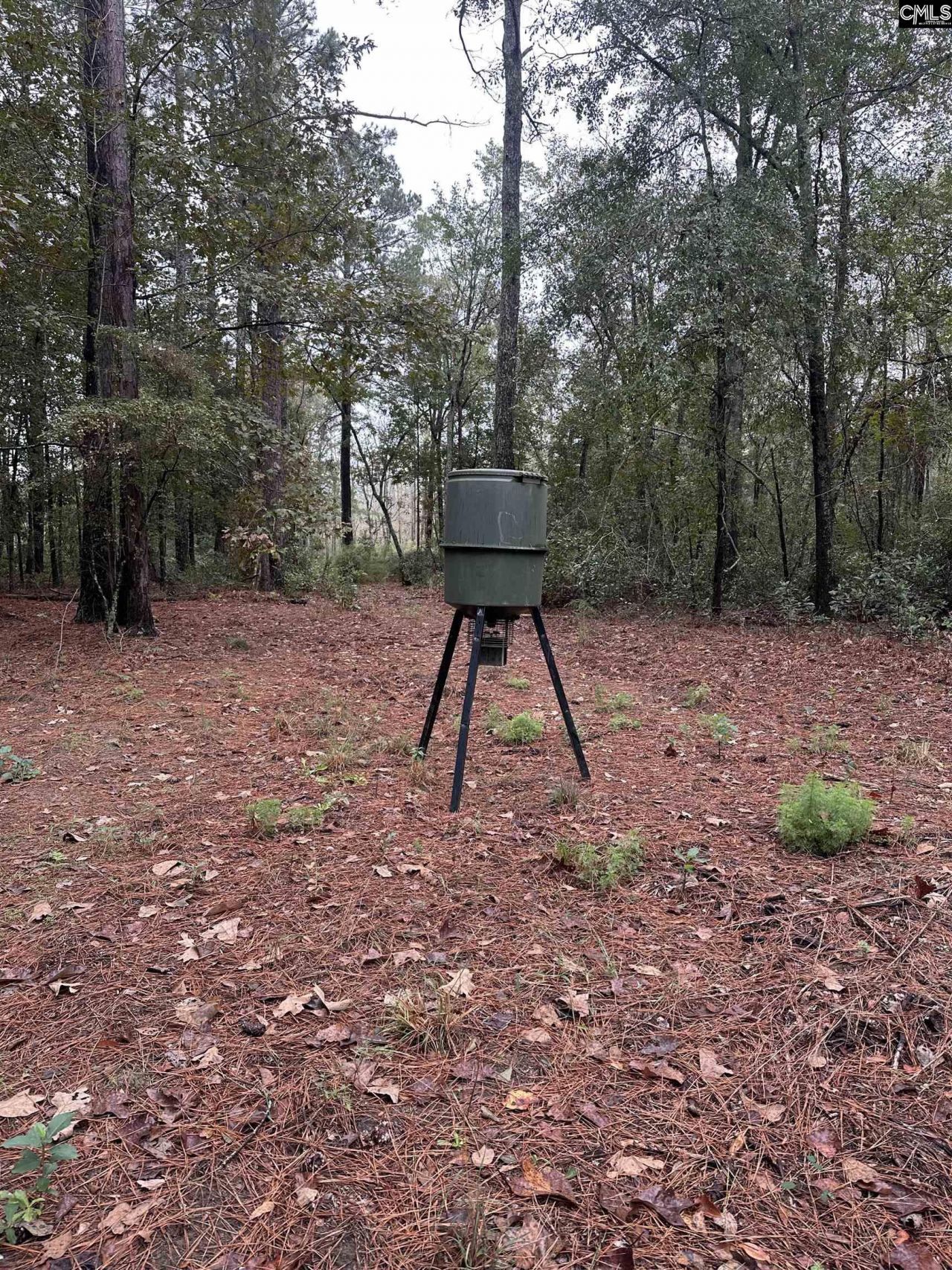 0 Kelly Day Road Photo 16