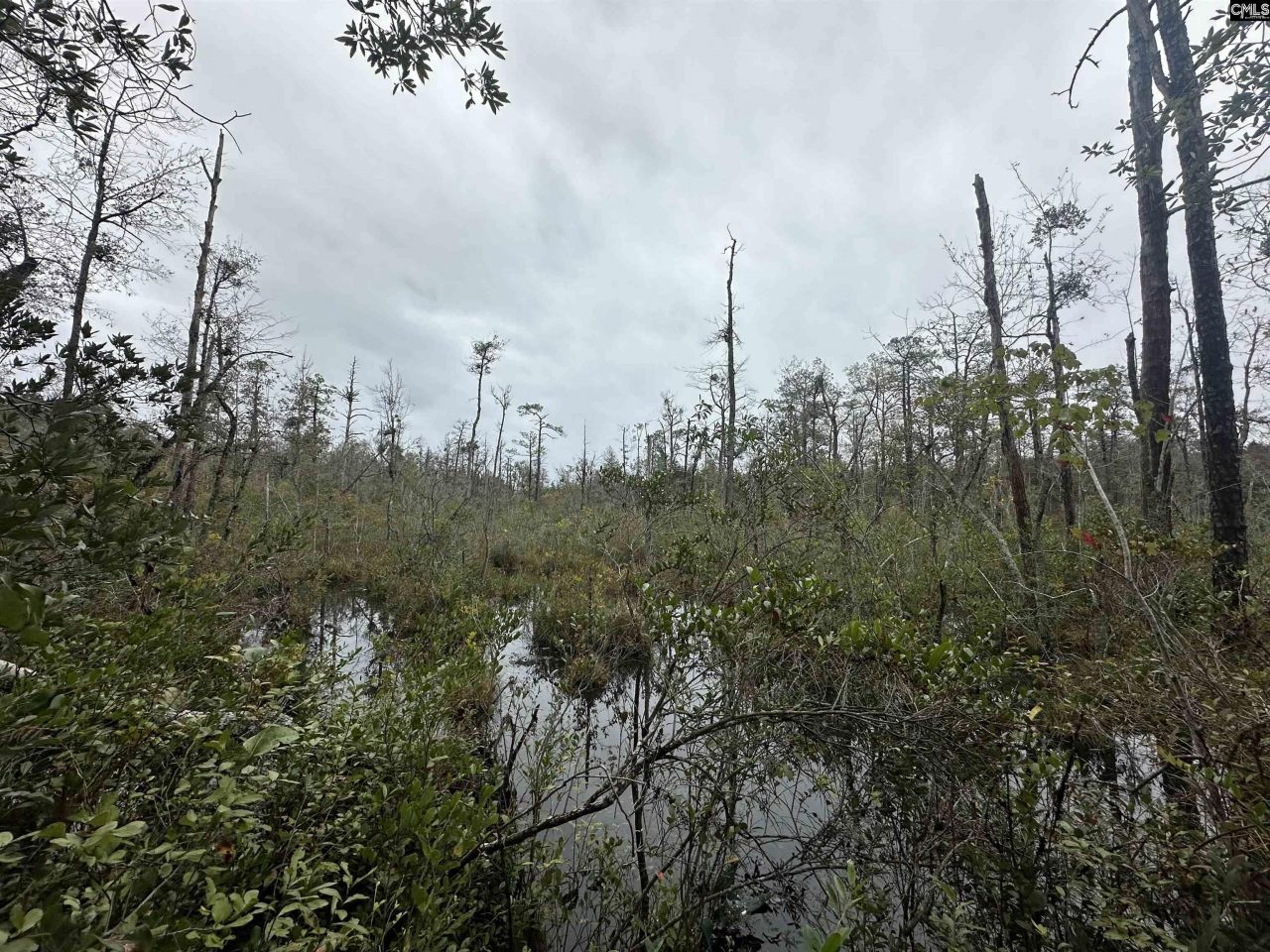 0 Kelly Day Road Photo 17