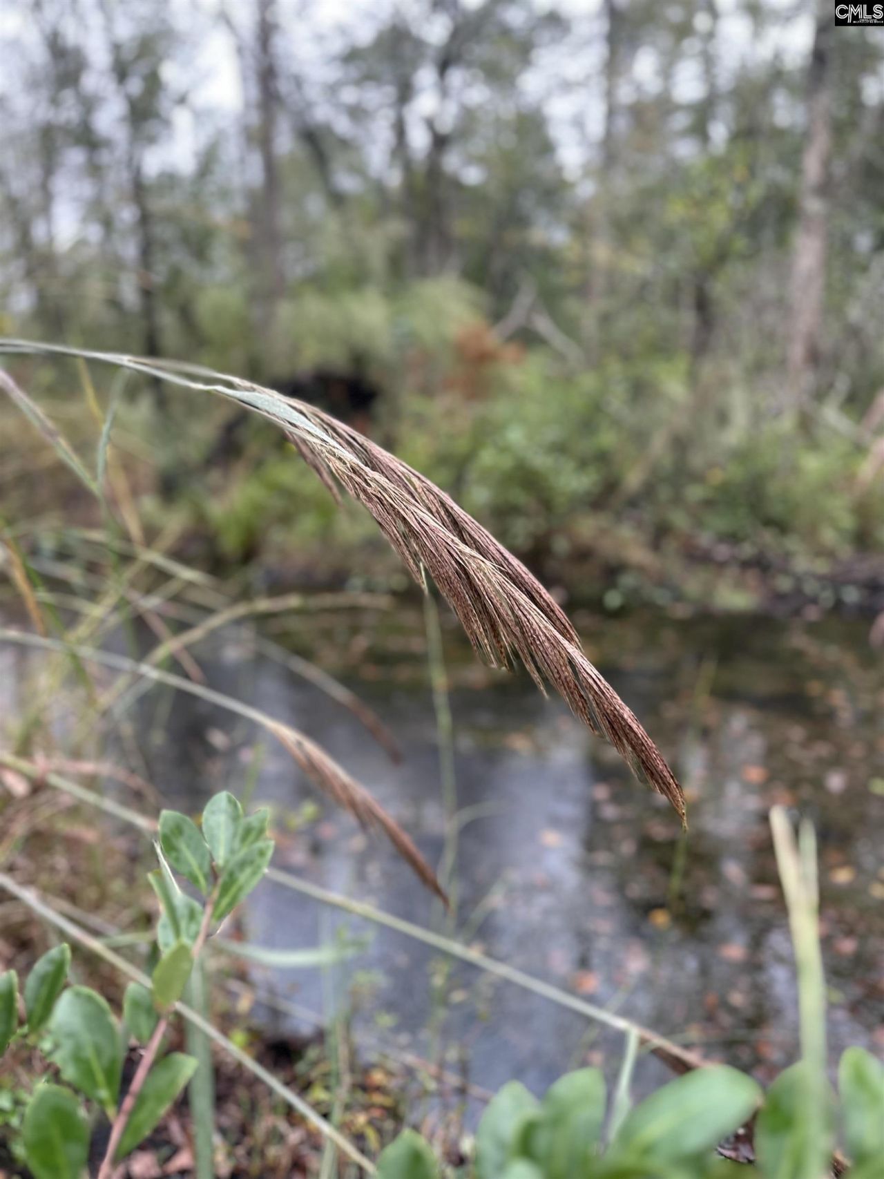 0 Kelly Day Road Photo 19