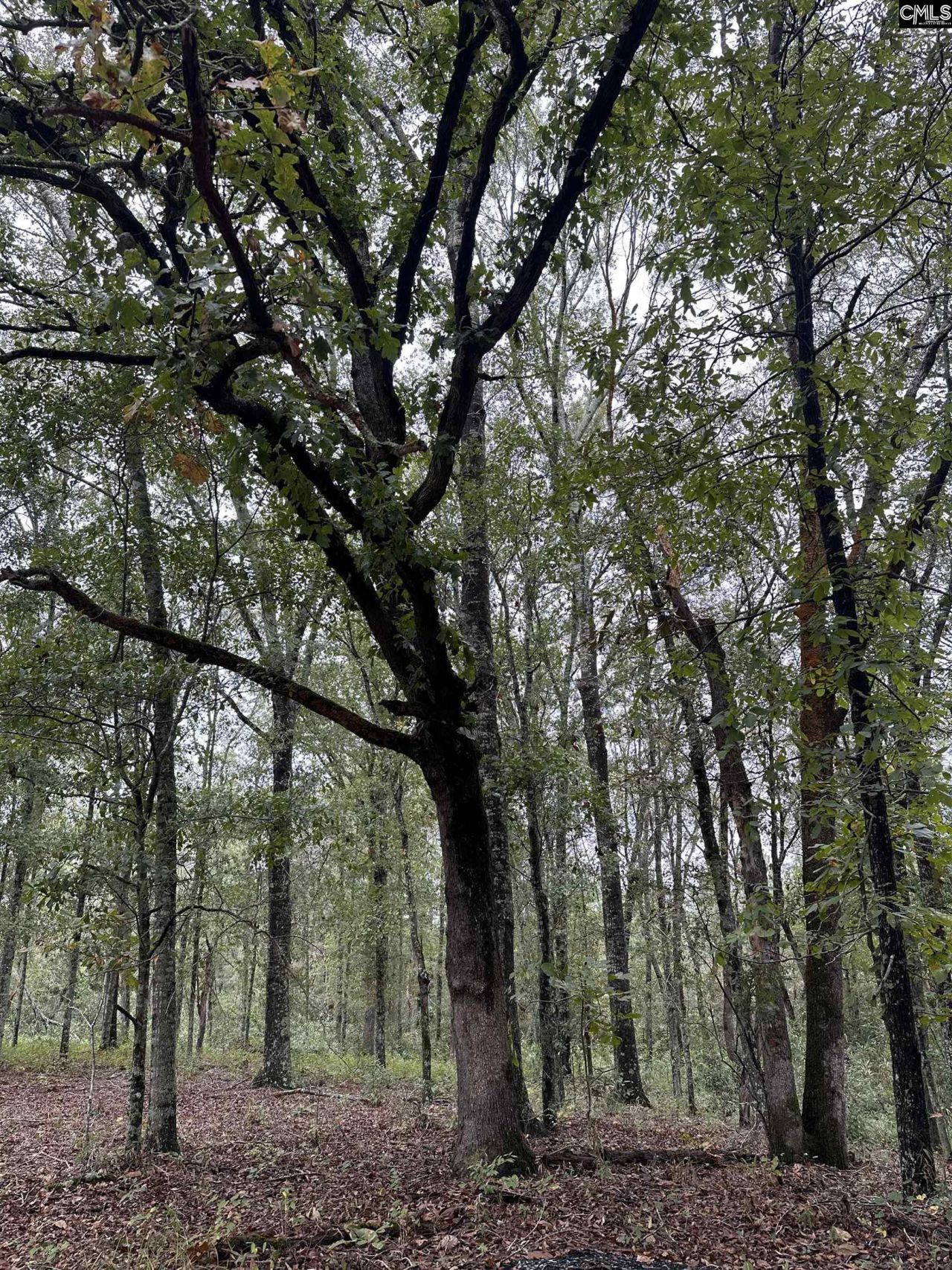 0 Kelly Day Road Photo 21