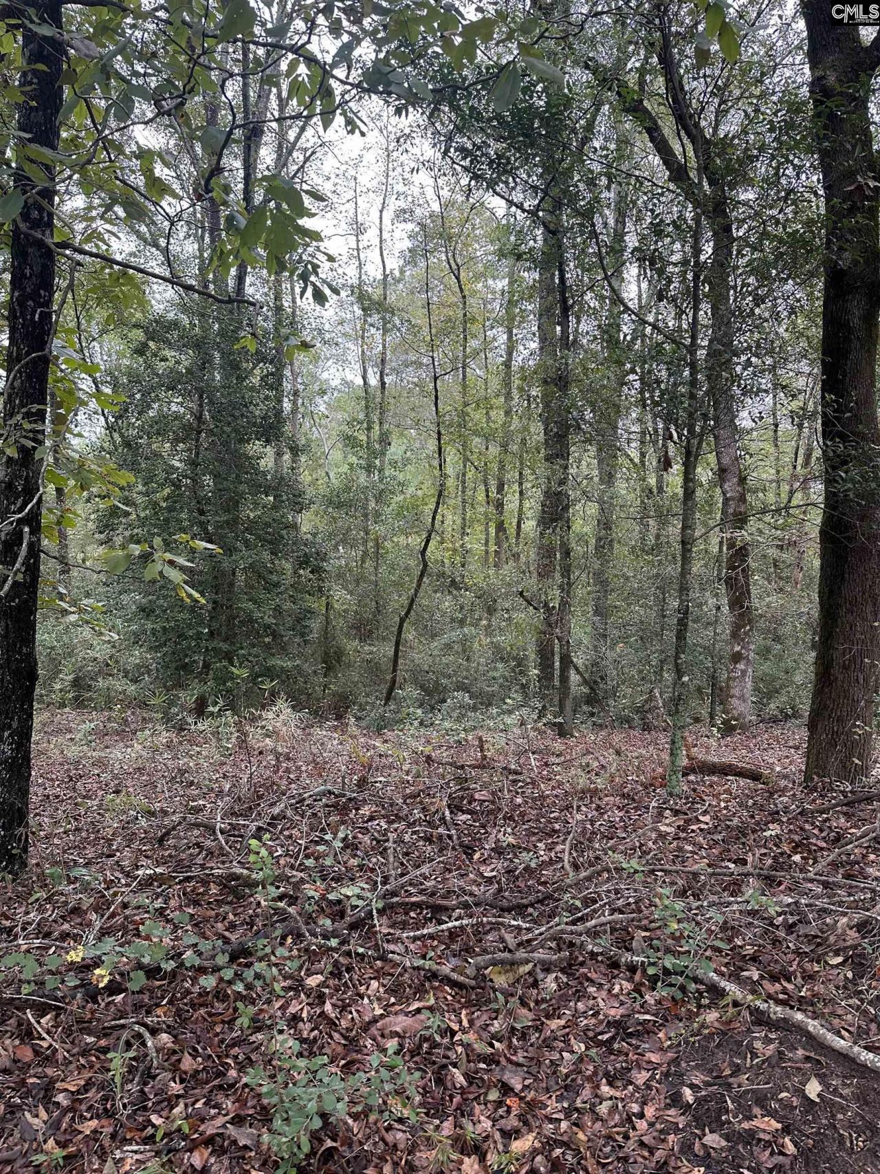 0 Kelly Day Road Photo 22