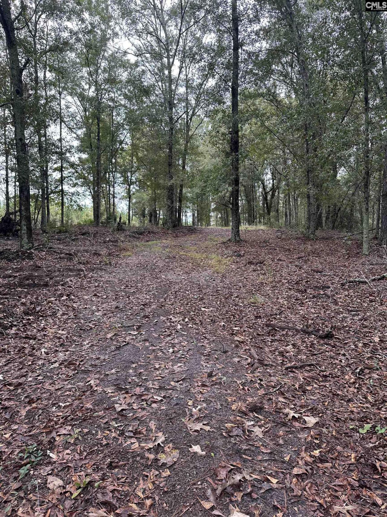 0 Kelly Day Road Photo 23