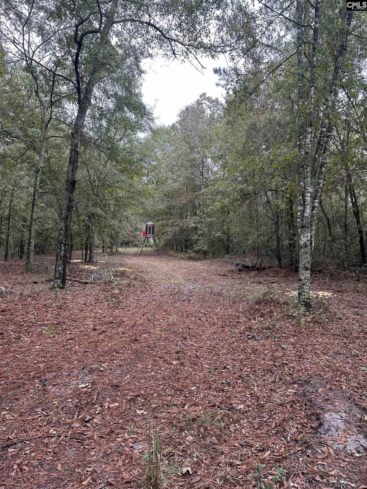 0 Kelly Day Road Photo 24