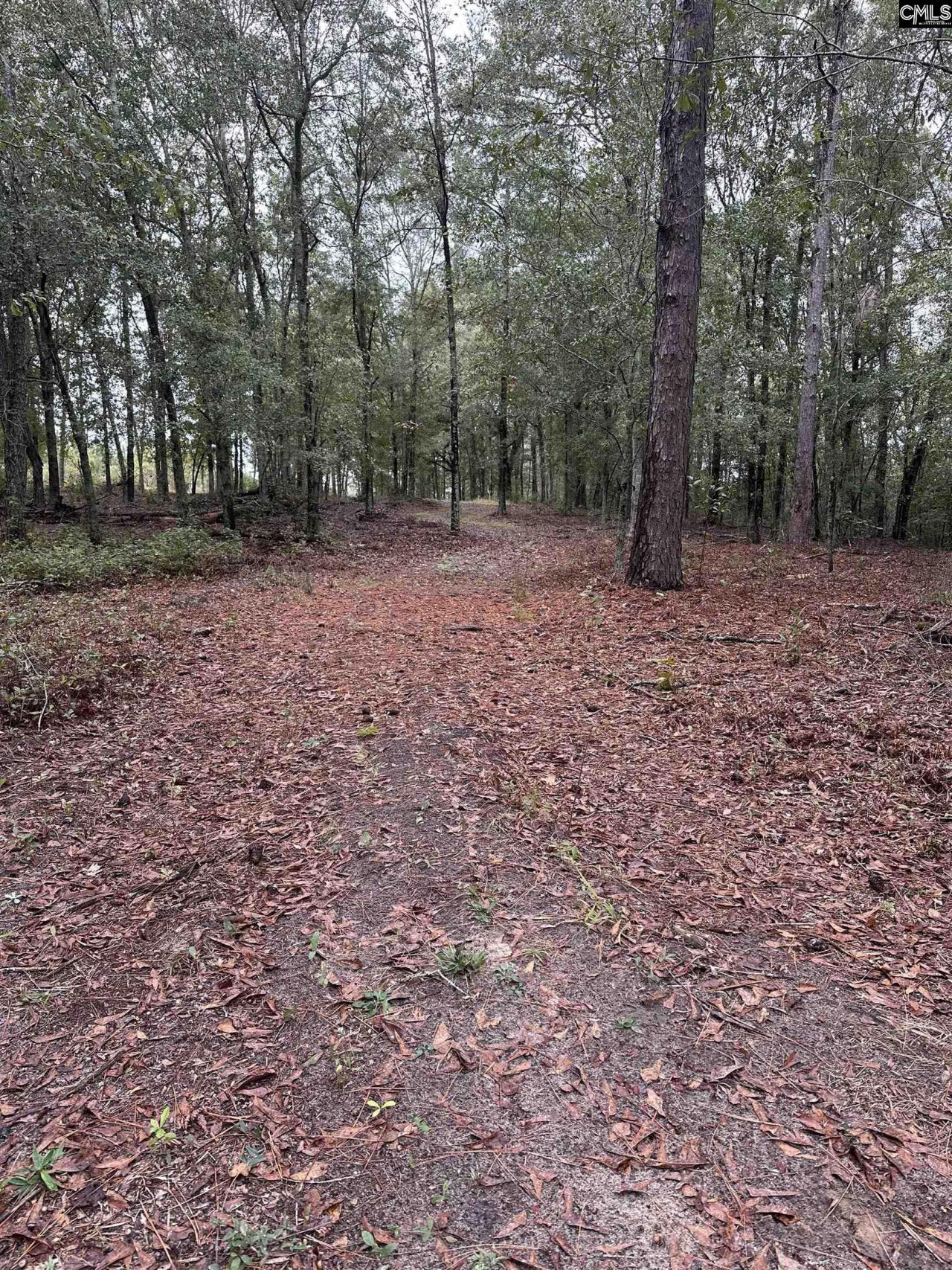 0 Kelly Day Road Photo 25