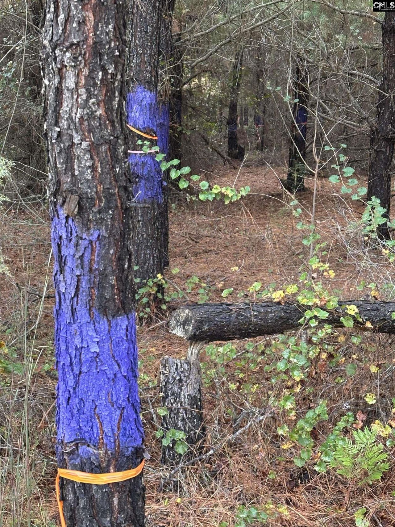 0 Kelly Day Road Photo 4