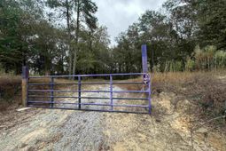 0 Kelly Day Road photo 4