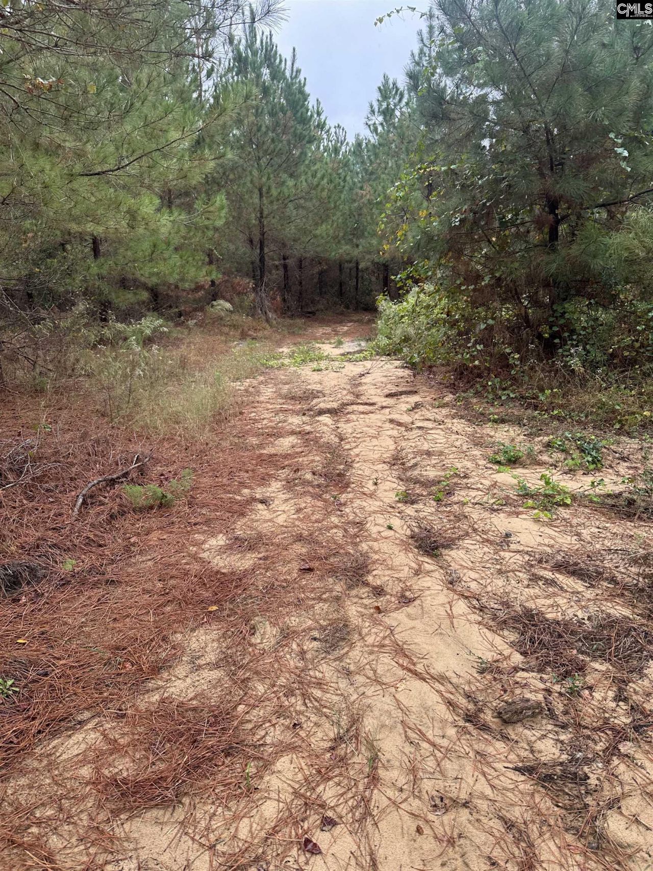 0 Kelly Day Road Photo 6