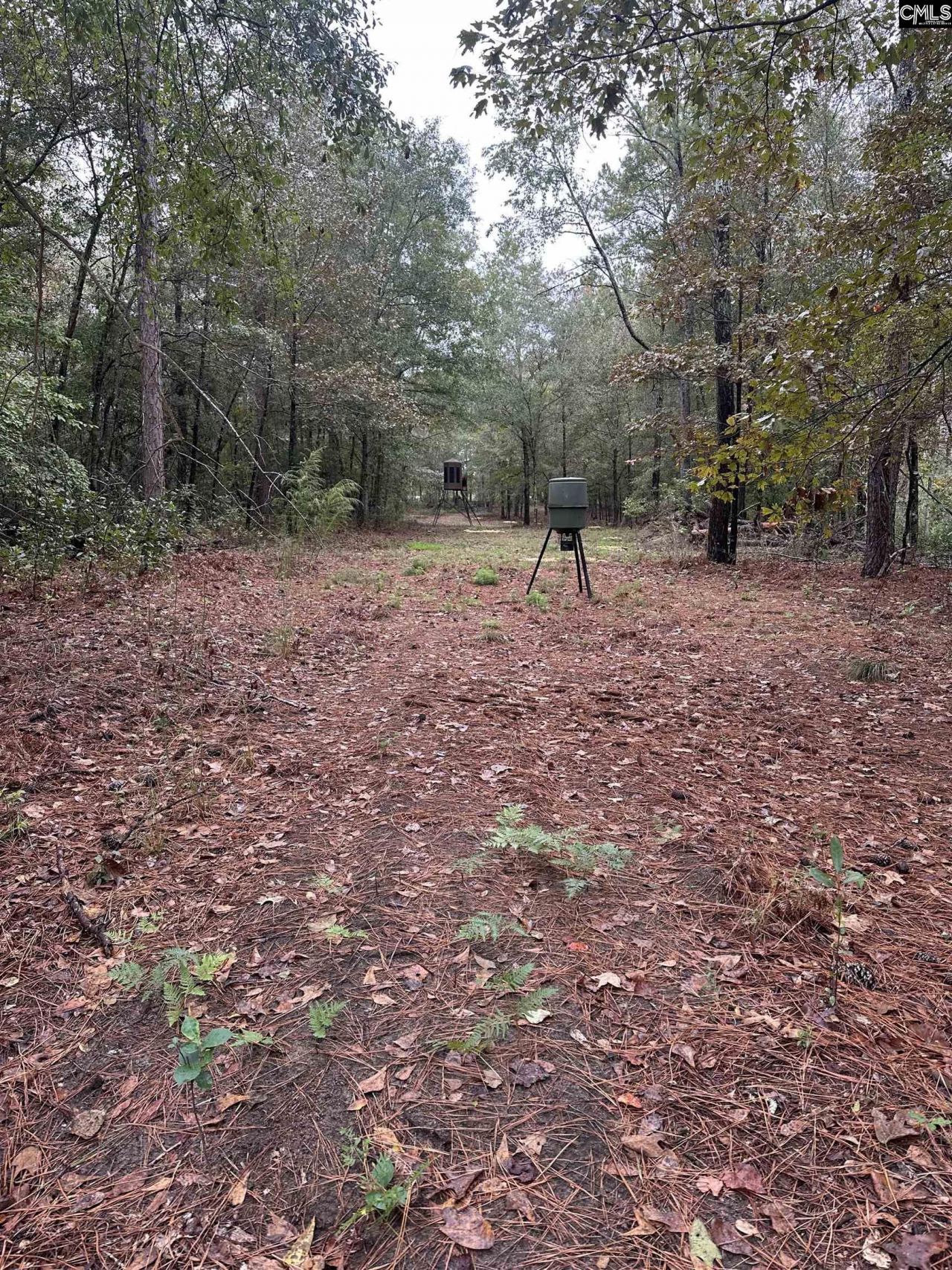 0 Kelly Day Road Photo 9