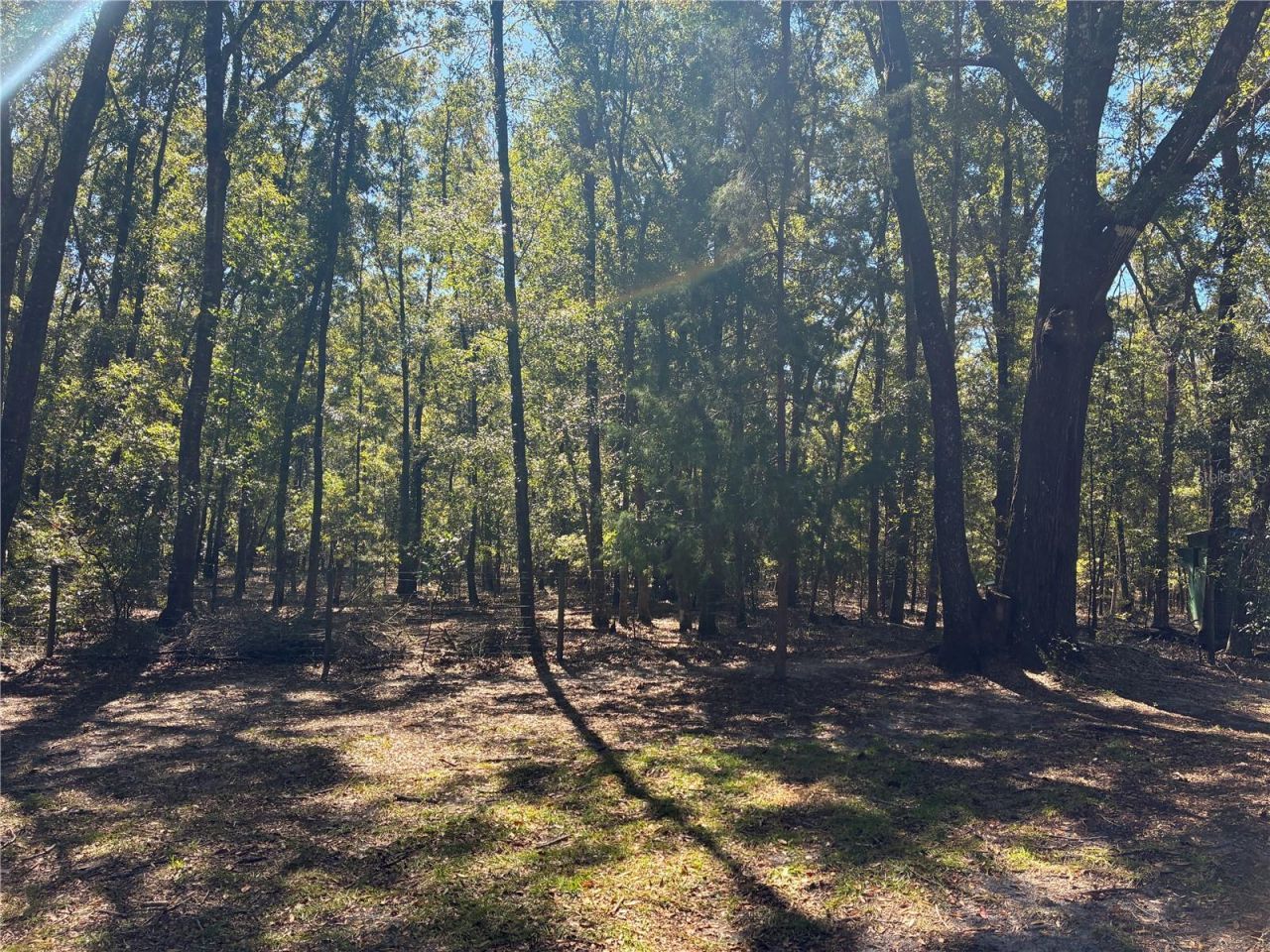 19582 NW 212th Street, High Springs, FL 32643 Photo