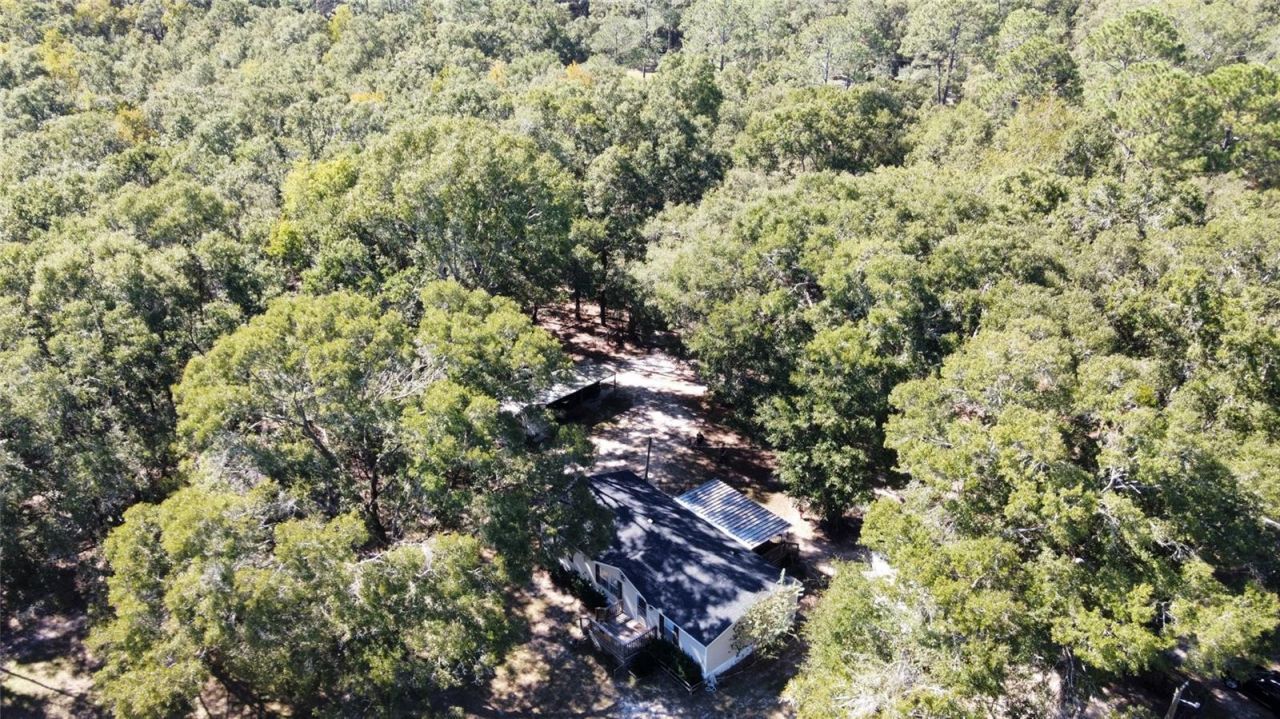 19582 NW 212th Street, High Springs, FL 32643 Photo
