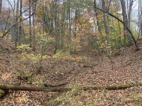 TBD US Route 48 (RR), Elkins, WV 26241