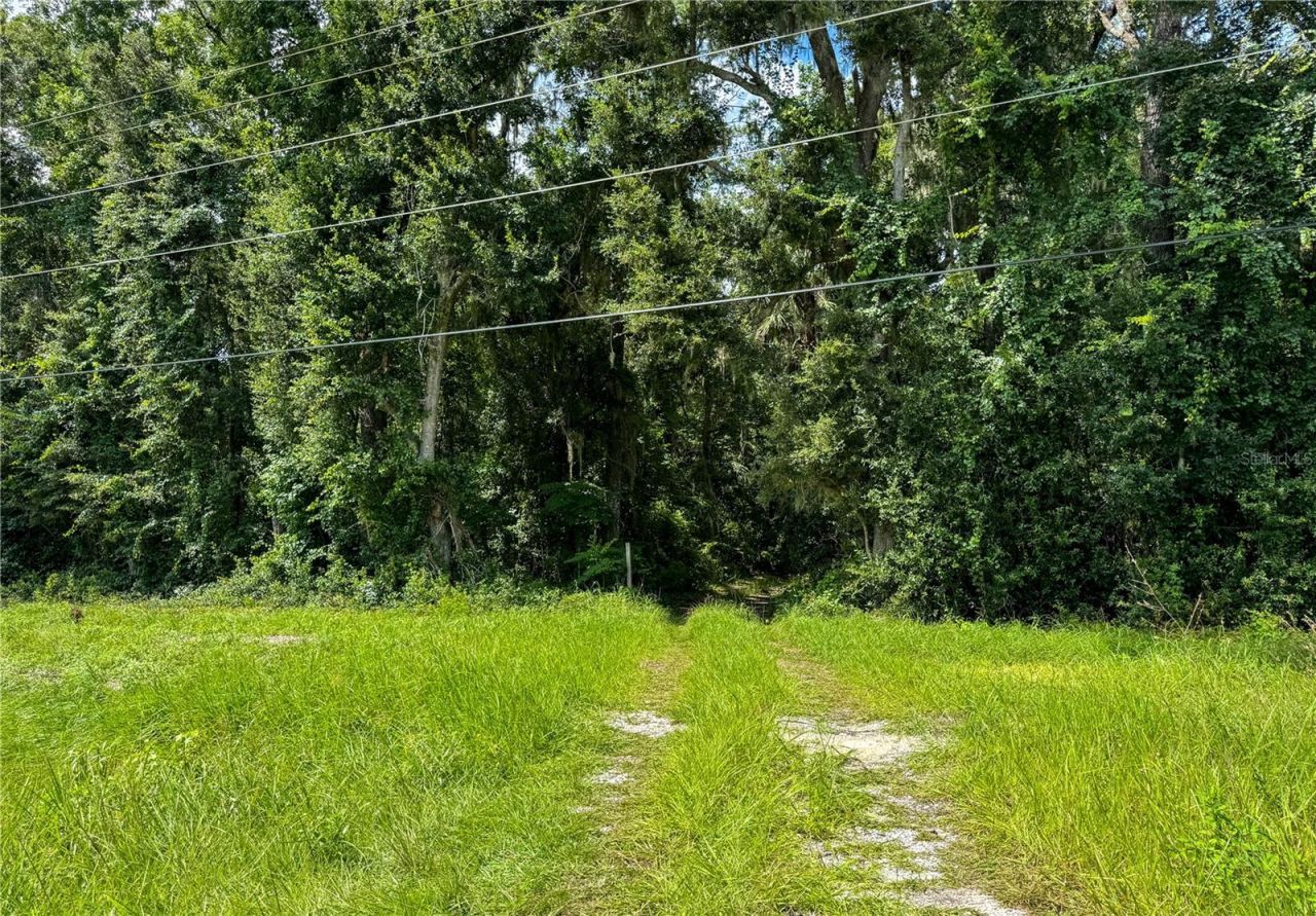 7906 SW County Road 346, Archer, FL 32618 Photo