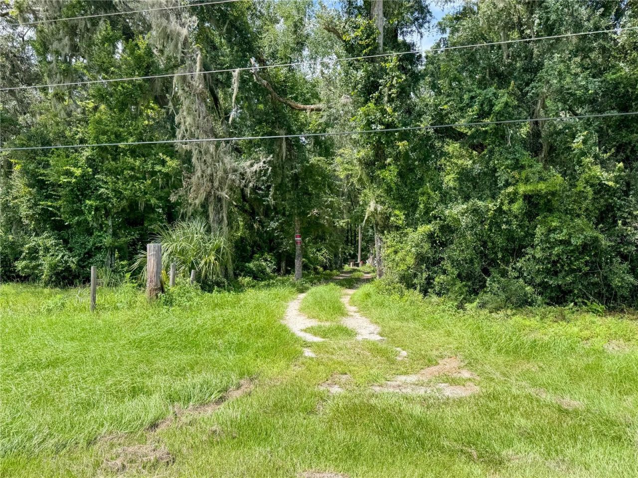 7906 SW County Road 346, Archer, FL 32618 Photo