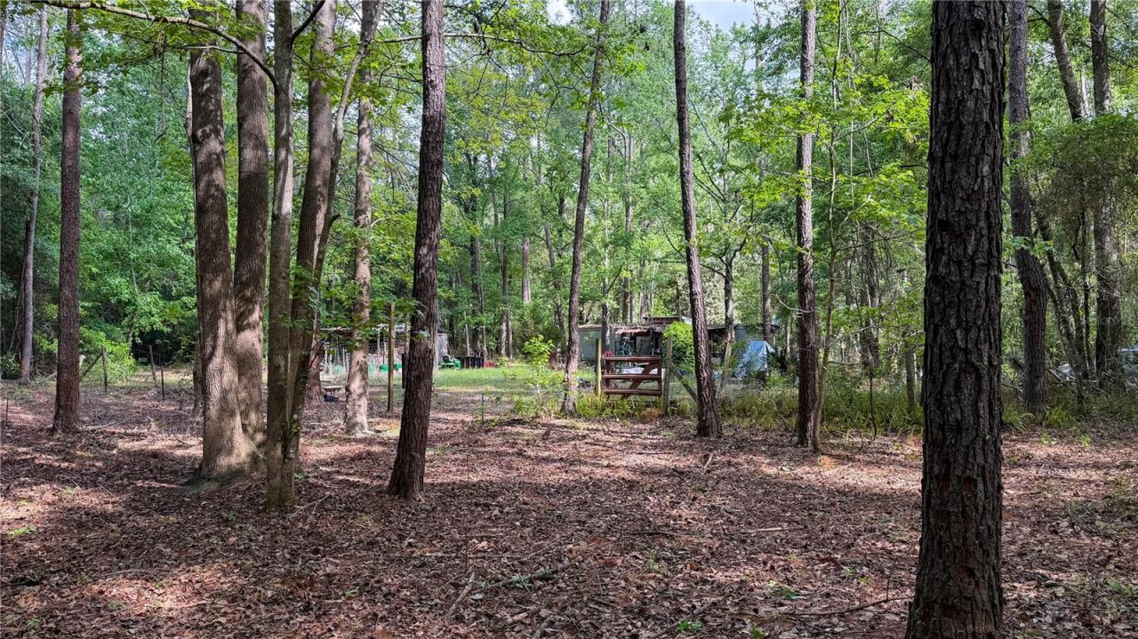 7906 SW County Road 346, Archer, FL 32618 Photo